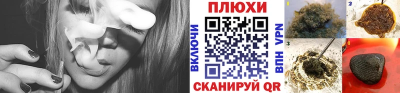 Купить закладки  Пионерский  Гашиш Изолятор 