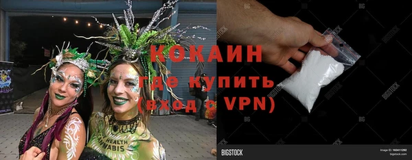 дживик Касимов