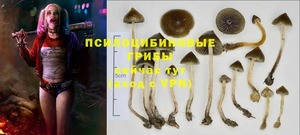 марки lsd Карпинск