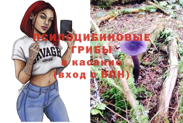 дживик Касимов