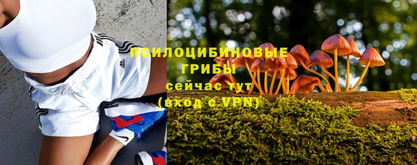 дживик Касимов