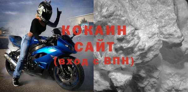 дживик Касимов